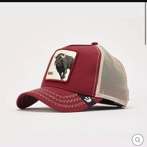 The bull trucker hat